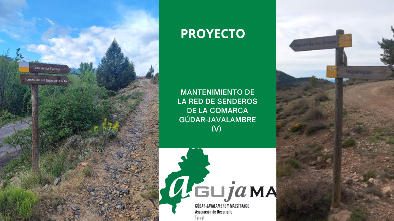 Foto simple para el texto de la publicacion